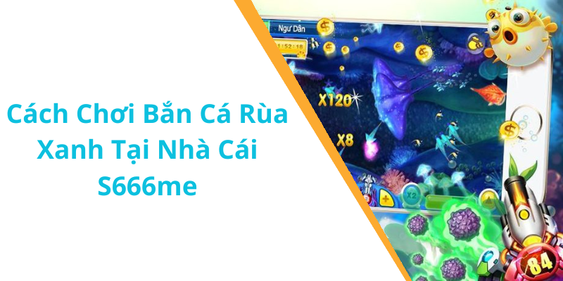 Cách Chơi Bắn Cá Rùa Xanh Tại Nhà Cái S666me