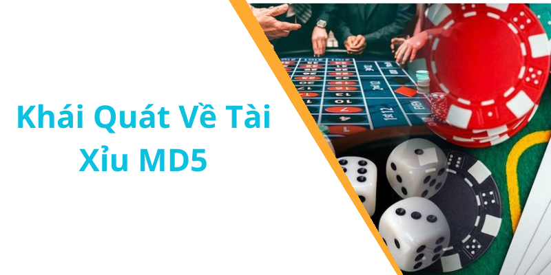 Khái Quát Về Tài Xỉu MD5