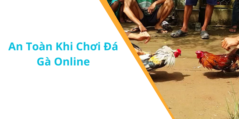 An Toàn Khi Chơi Đá Gà Online