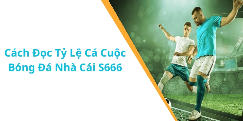 Cách Đọc Tỷ Lệ Cá Cuộc Bóng Đá Nhà Cái S666