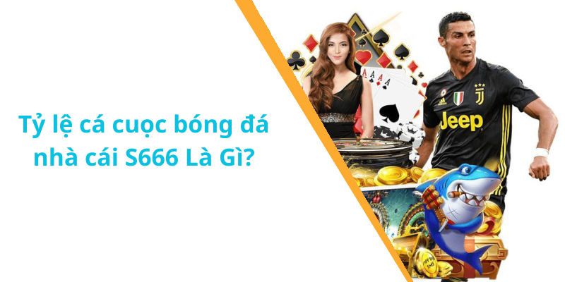 Tỷ lệ cá cuọc bóng đá nhà cái S666 Là Gì